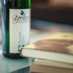 公寓 Panorama Mosel