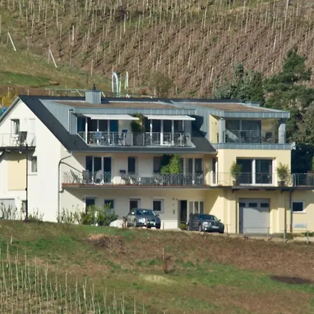 Panorama Mosel Reil