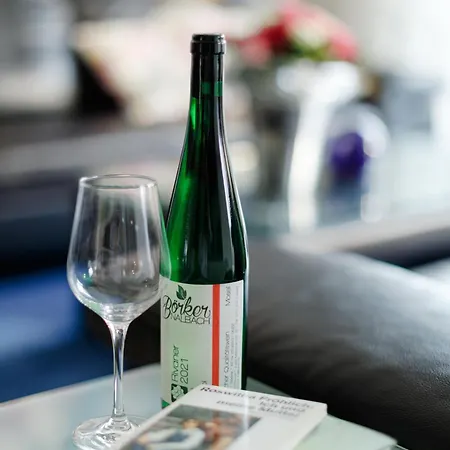 Apartmán Panorama Mosel Reil