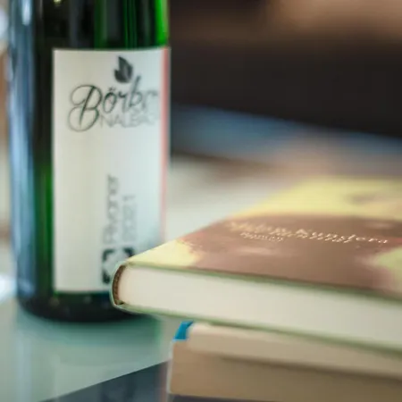 Apartmán Panorama Mosel