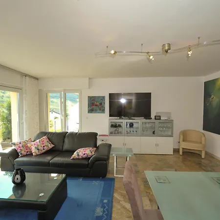 Panorama Mosel Apartmán Reil