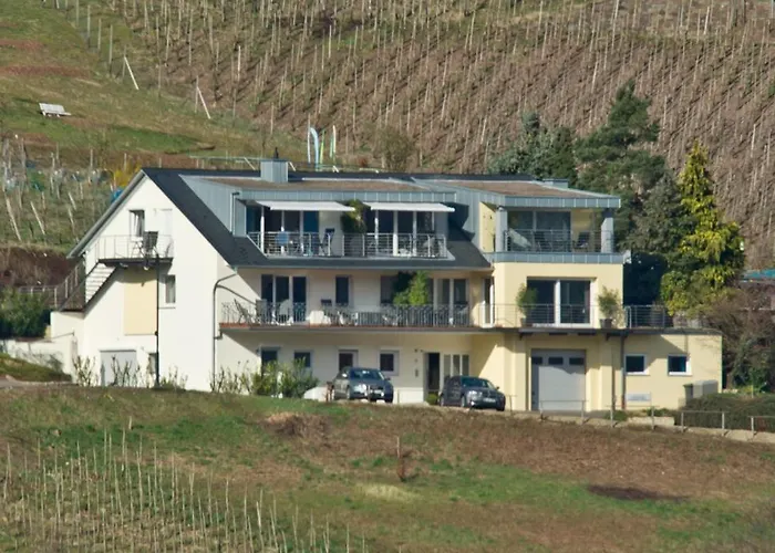 Panorama Mosel רייל